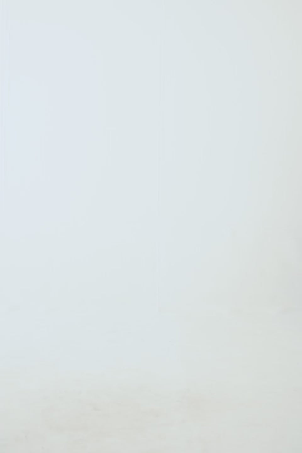 Puffer Vest - Cougar Clothing