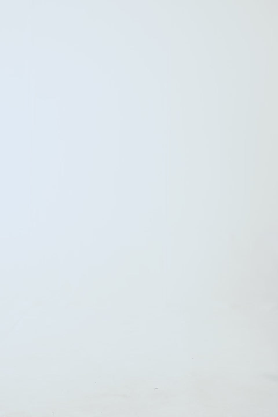 Back Printed Hoodie - Cougar Clothing