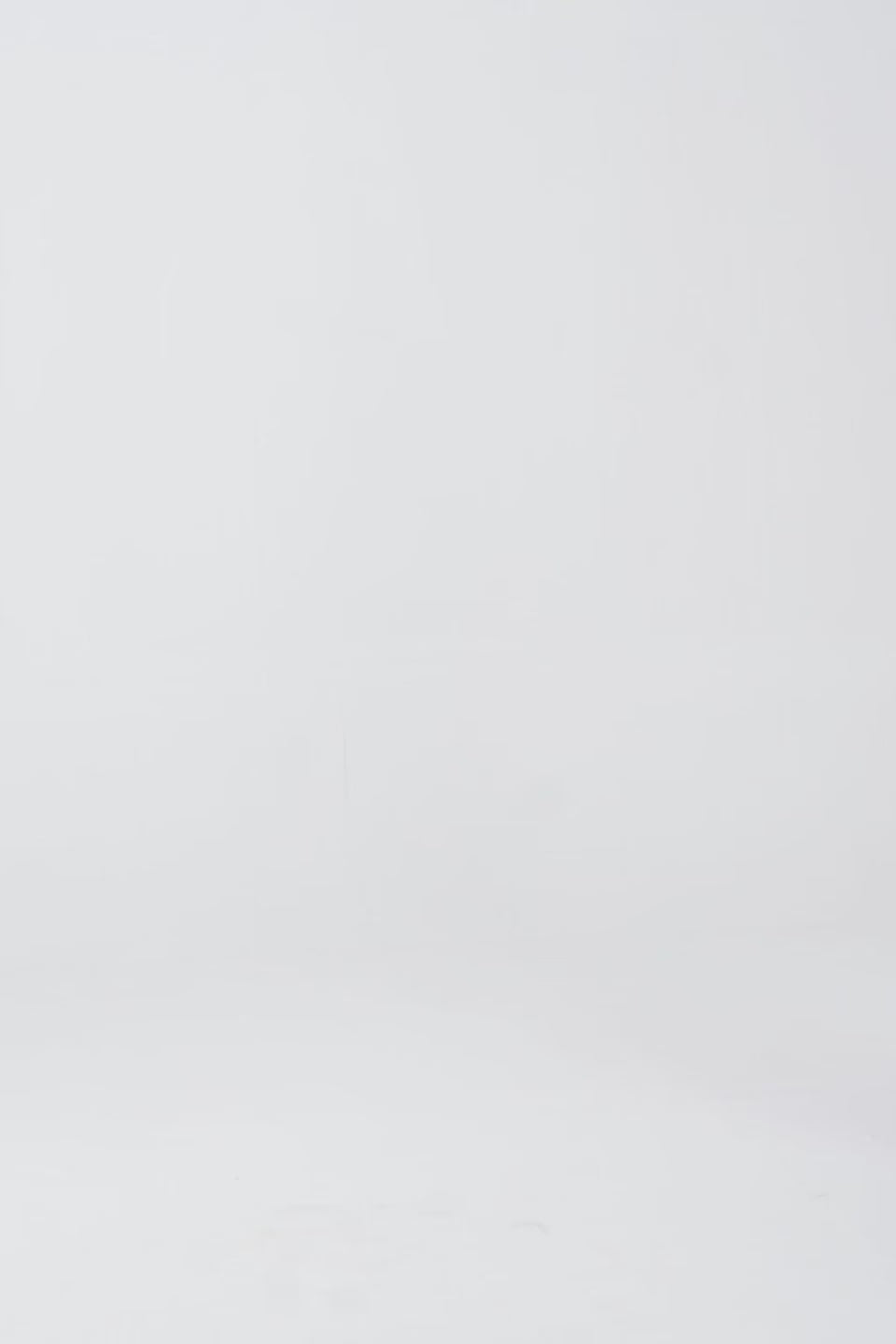 Sleeveless Flared Dress - Cougar Clothing
