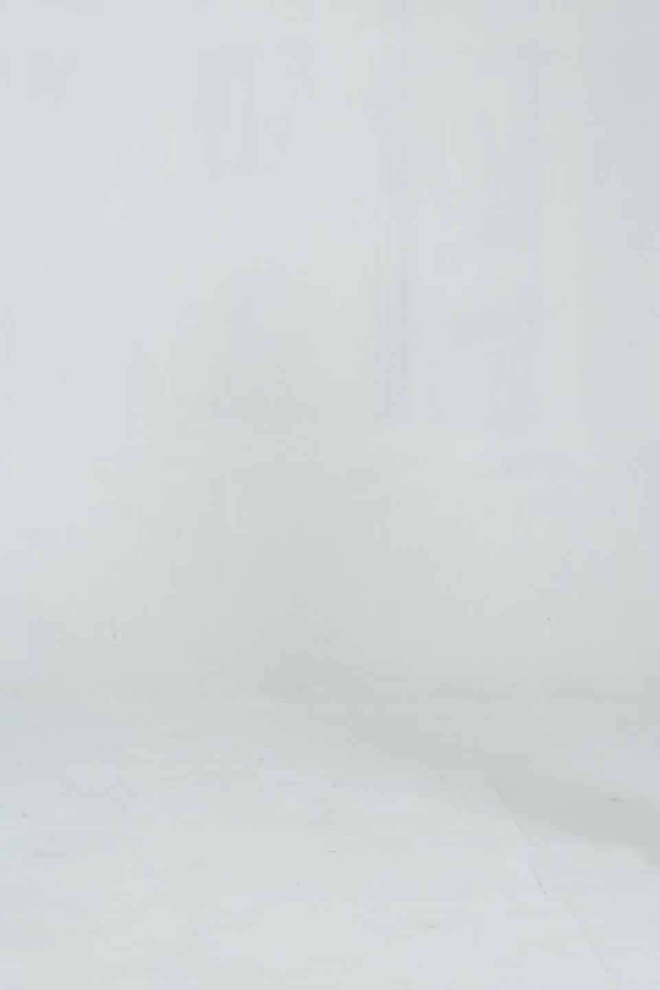 Balloon Sleeved Embroidered Sweatshirt - Cougar Clothing