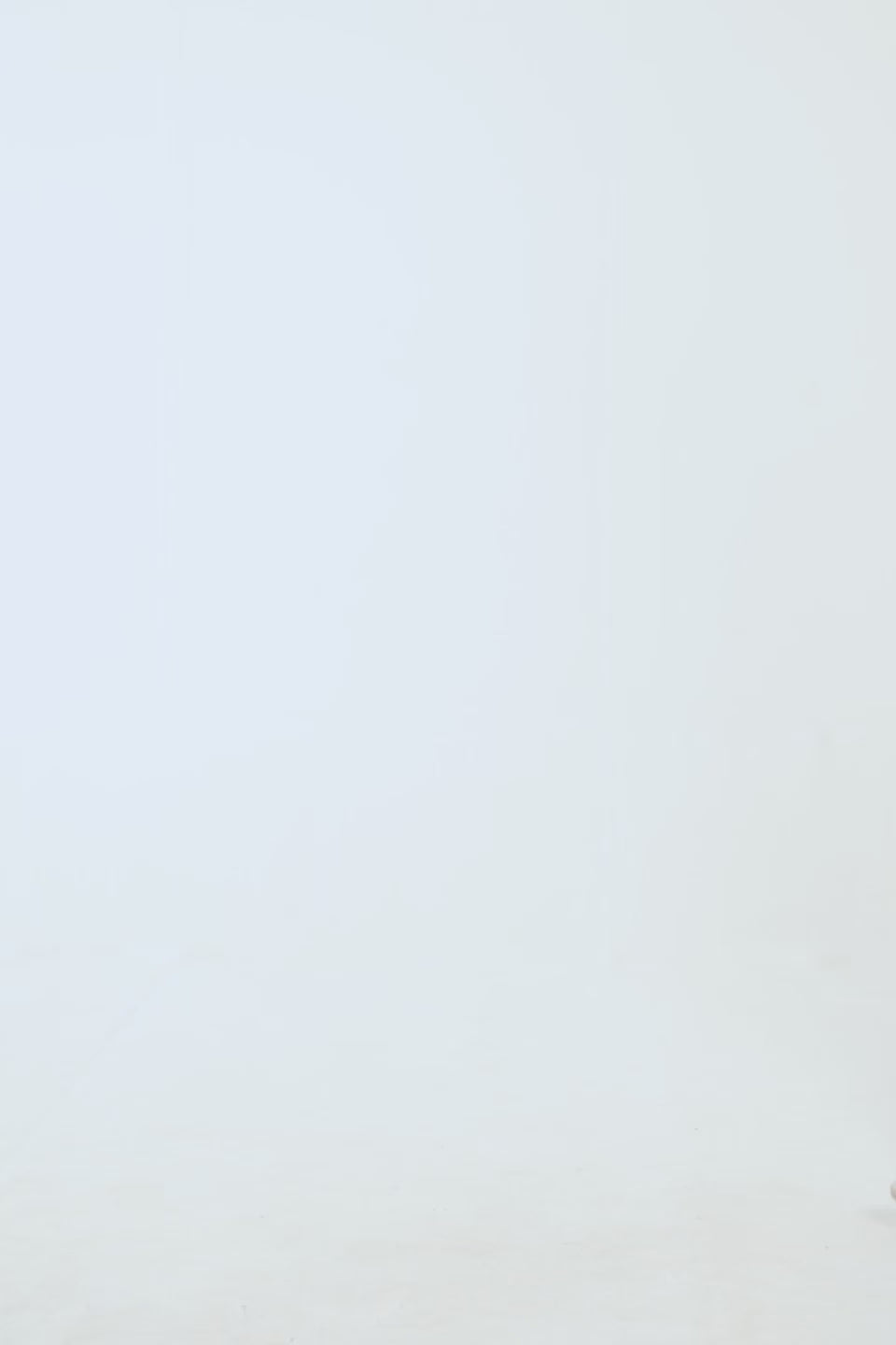 Brushed-Inside Pullover - Cougar Clothing