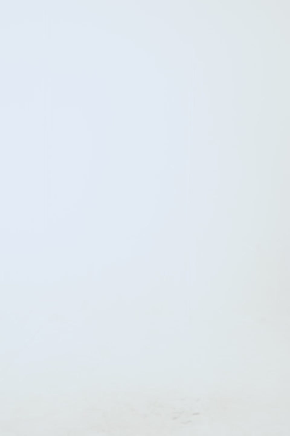 Cotton Bomber Jacket - Cougar Clothing