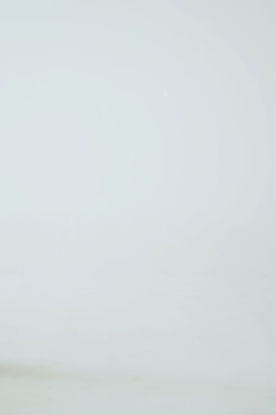 Sleeveless Jumpsuit - Cougar Clothing