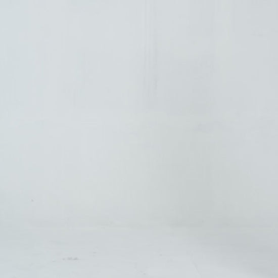 Endless Potential Sweatshirt - Cougar Clothing