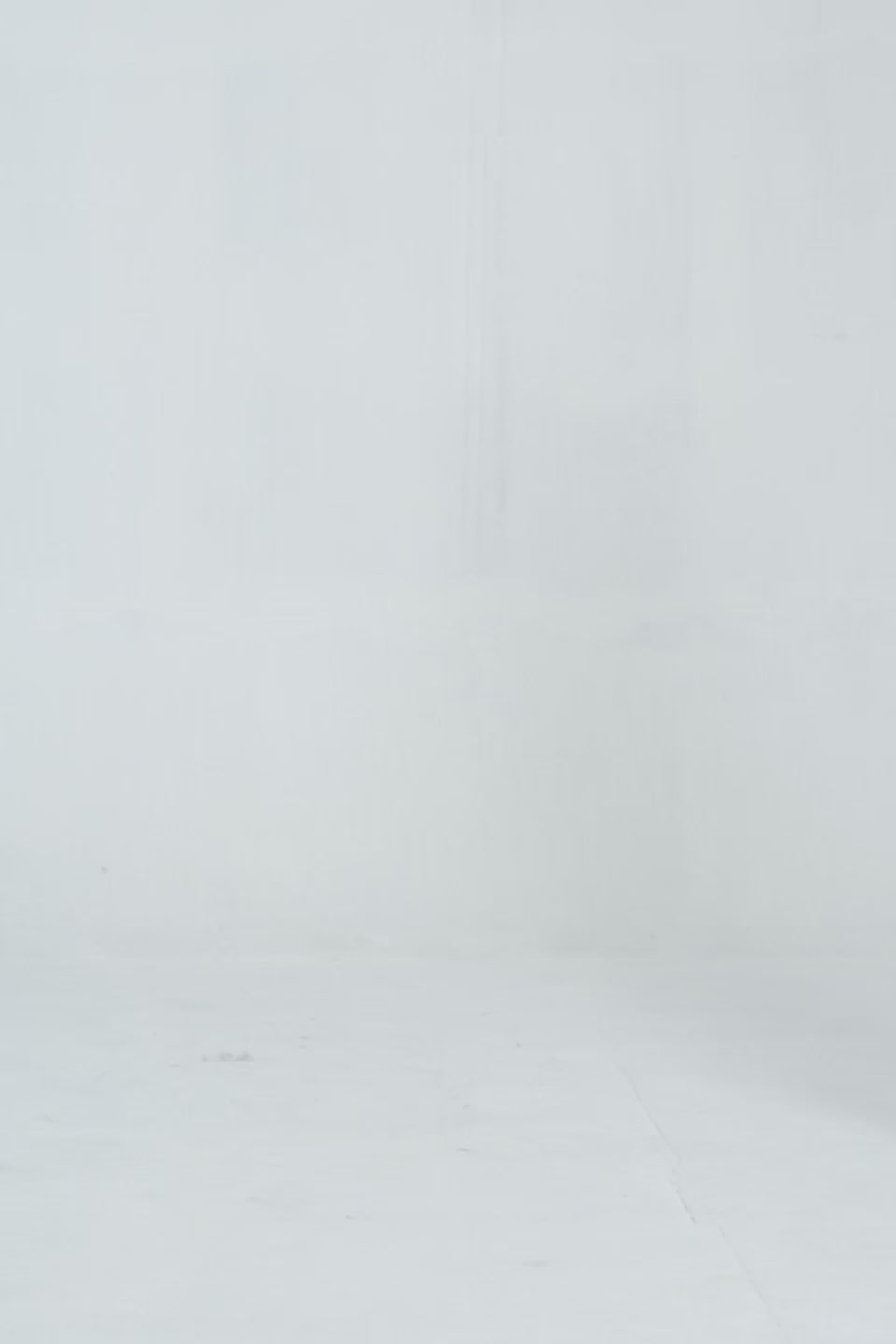 Endless Potential Sweatshirt - Cougar Clothing