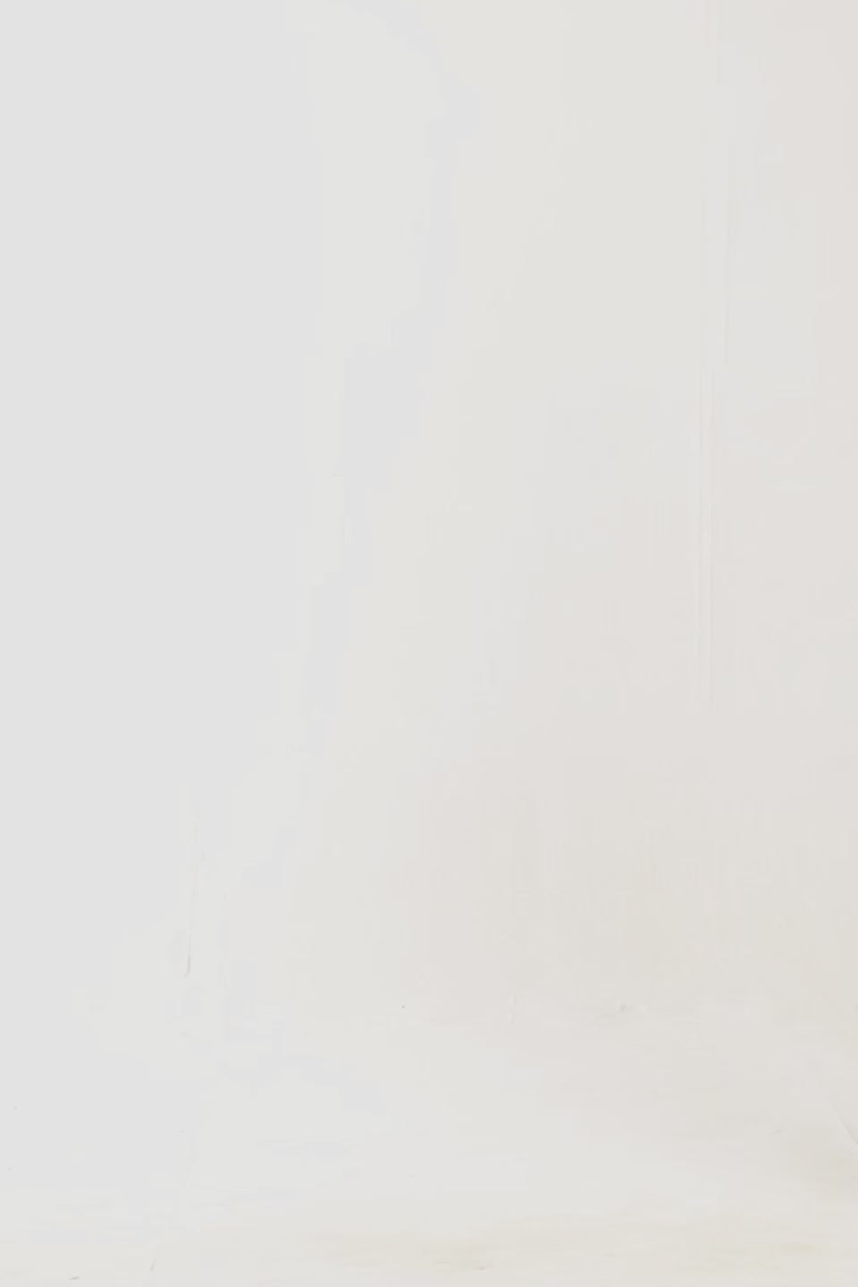 Relaxed Fleece Hoodie - Cougar Clothing