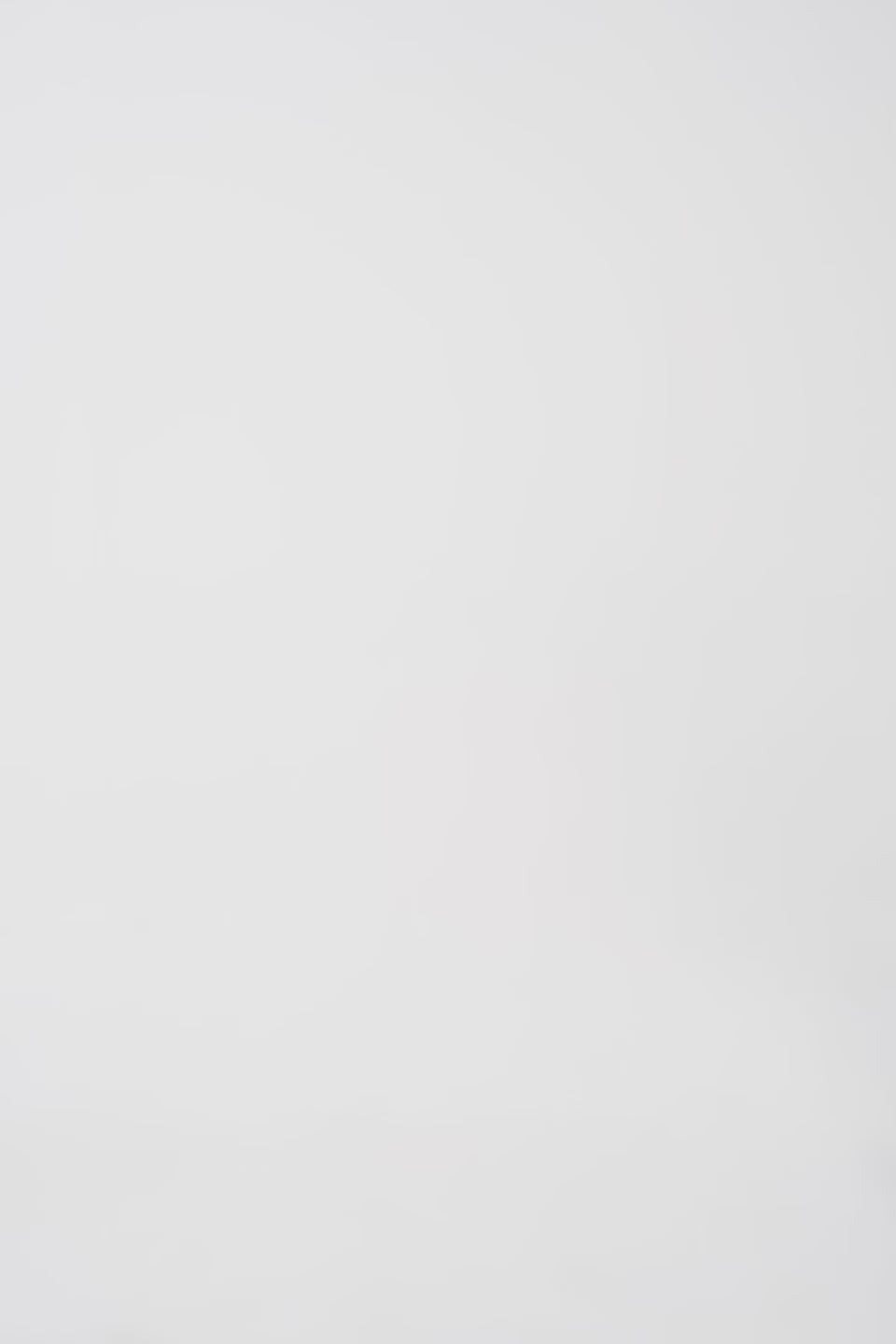 Graphic Print Fleece Sweatshirt - Cougar Clothing