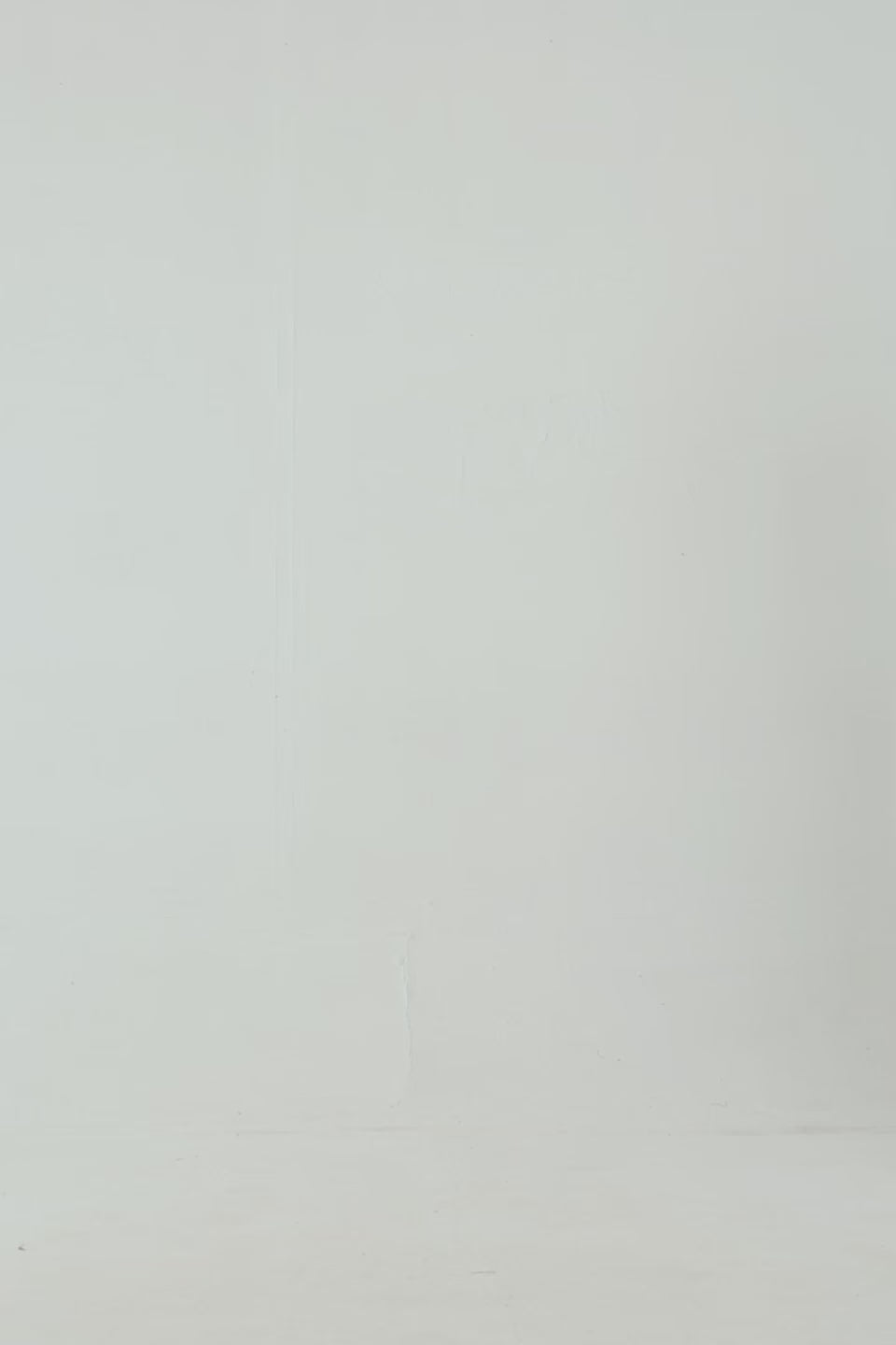 Argyle Knit Sweater - Cougar Clothing