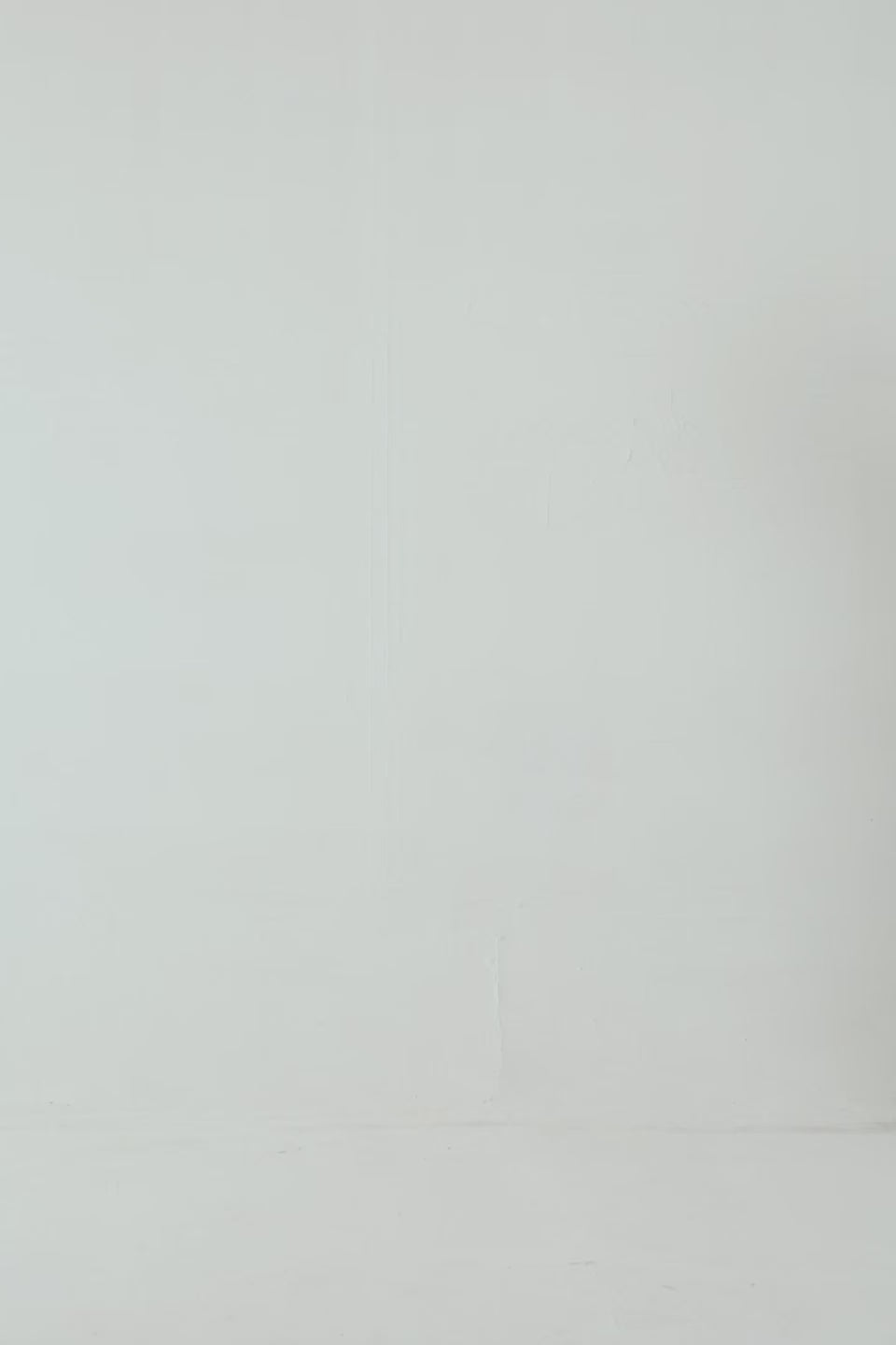 Basic Raglan Hoodie - Cougar Clothing