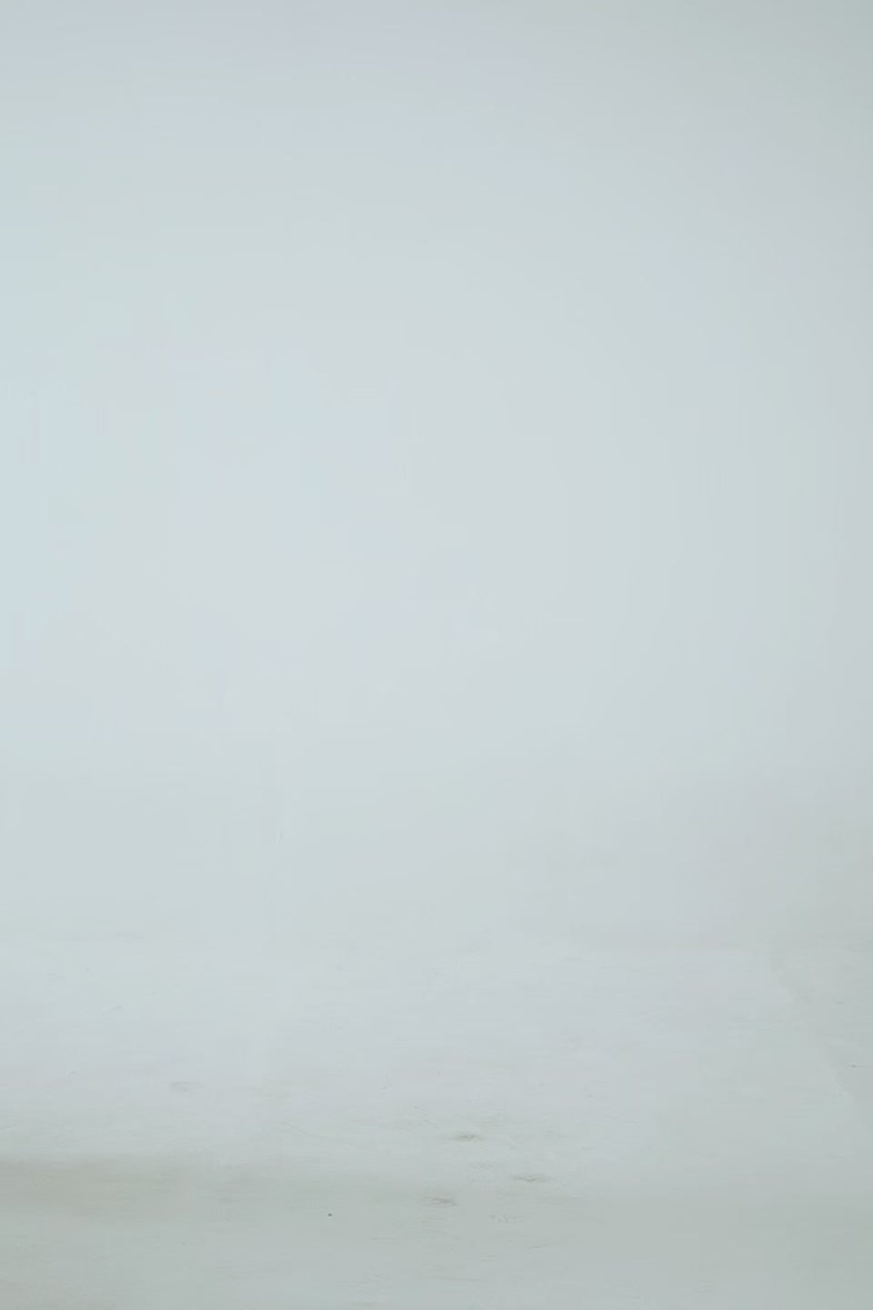 Relaxed Fit Denim Shorts - Cougar Clothing