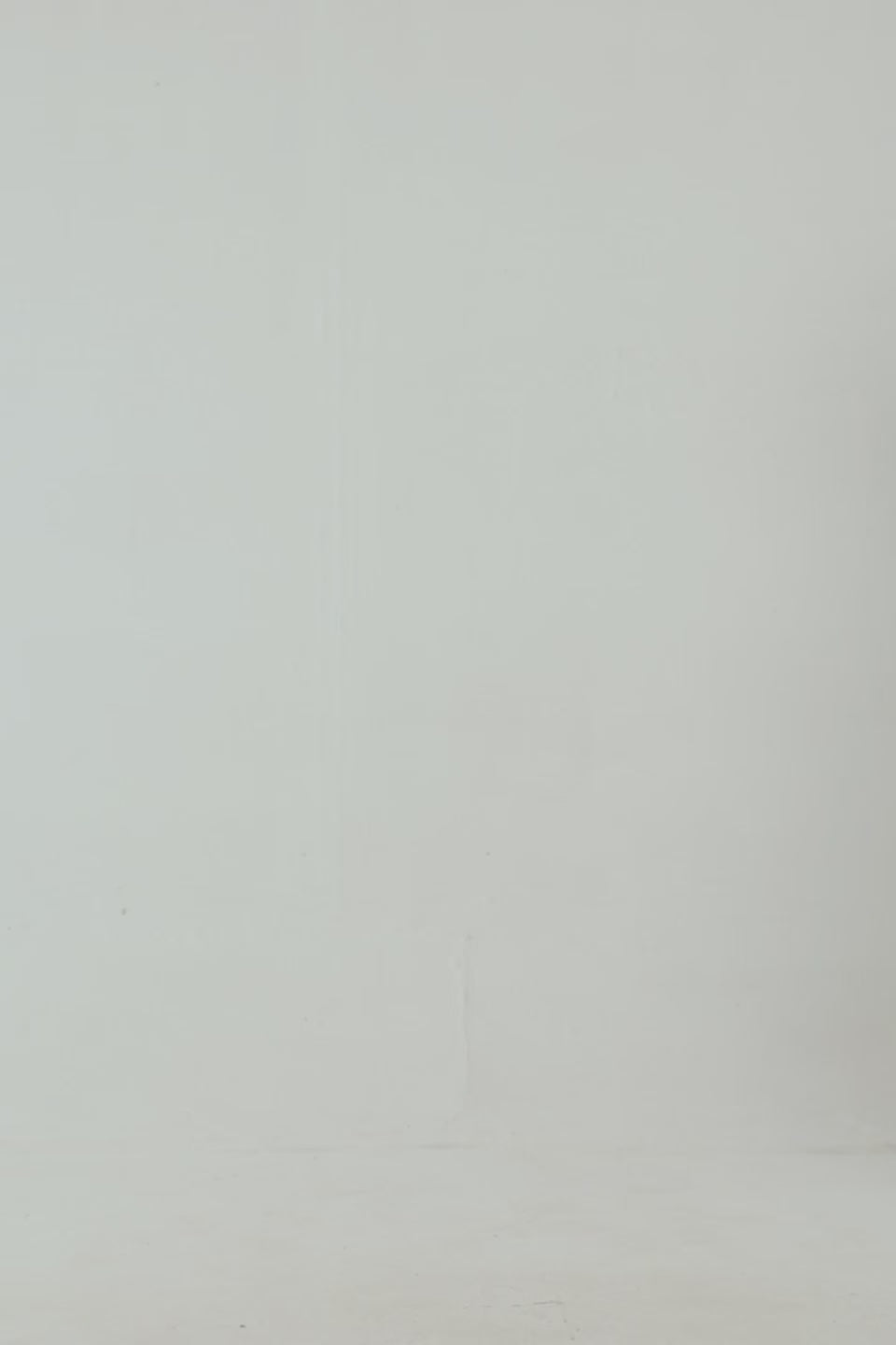 Garment Dyed Graphic Sweatshirt - Cougar Clothing