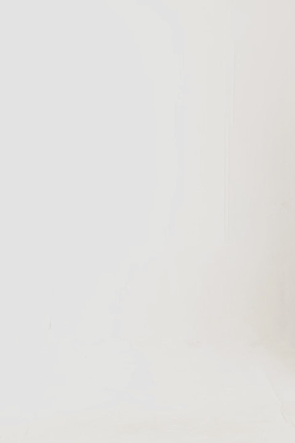 Graphic Pullover Hoodie - Cougar Clothing