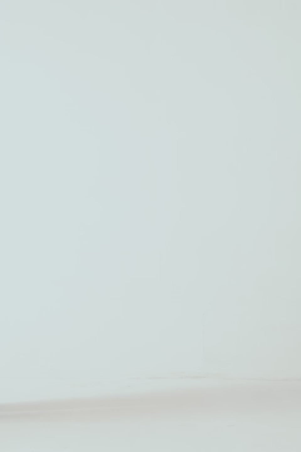 Basic Fleece Sweatshirt - Cougar Clothing