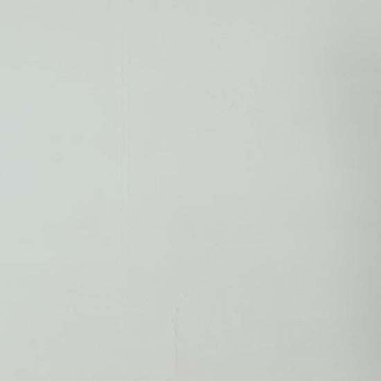 Faux Suede Button Down Jacket - Cougar Clothing