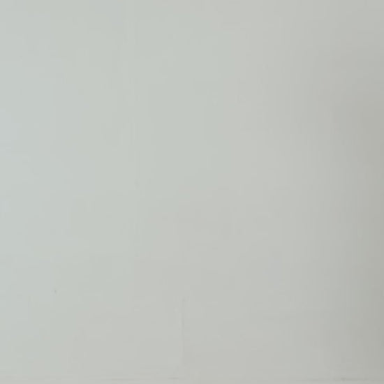 Graphic Pullover Hoodie - Cougar Clothing