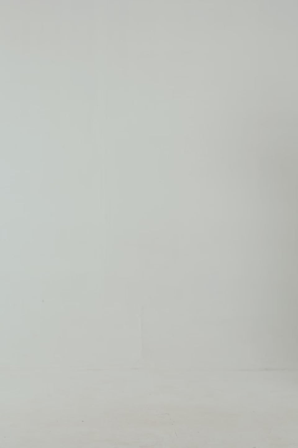 Graphic Pullover Hoodie - Cougar Clothing