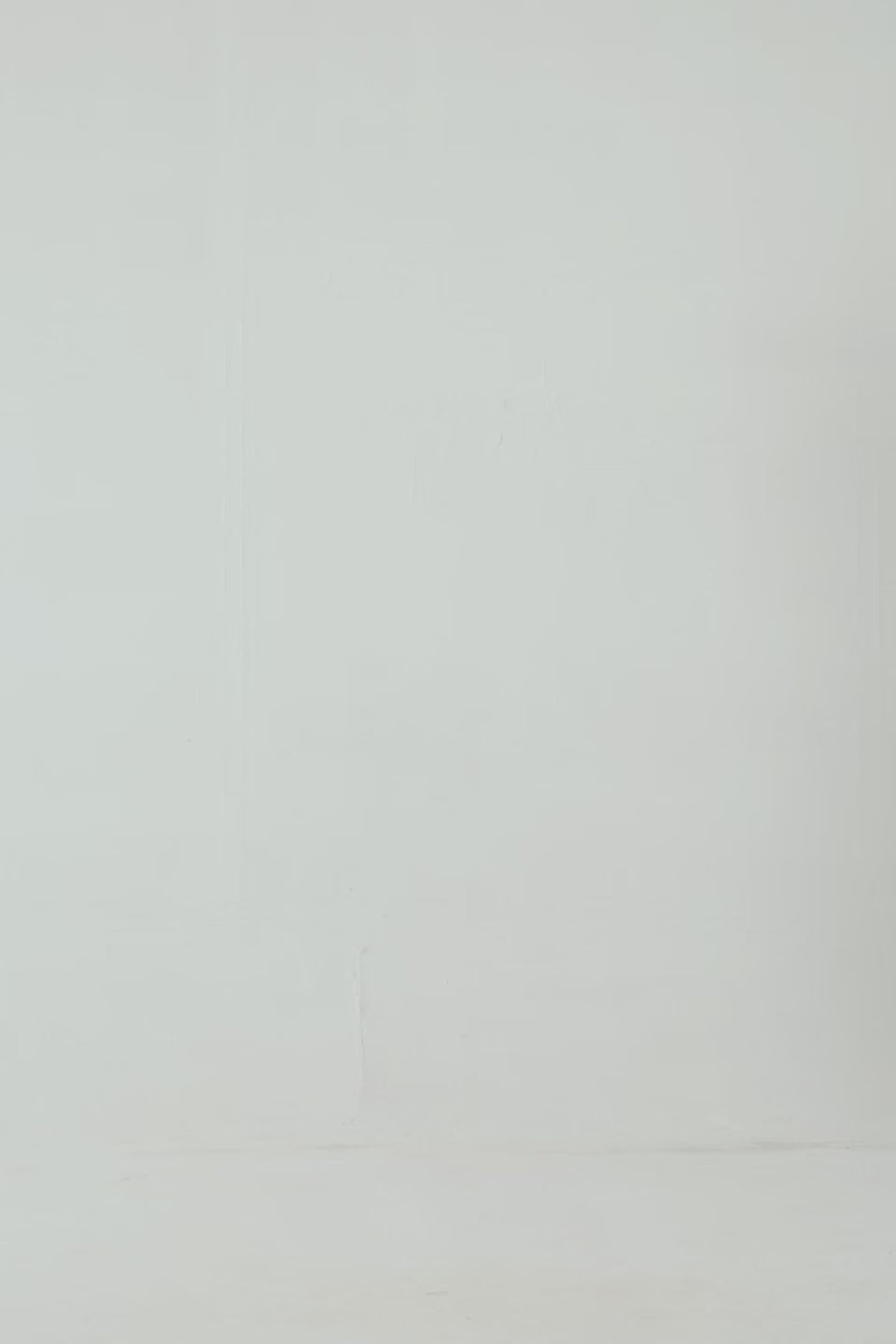 Basic Theory Fleece Hoodie - Cougar Clothing