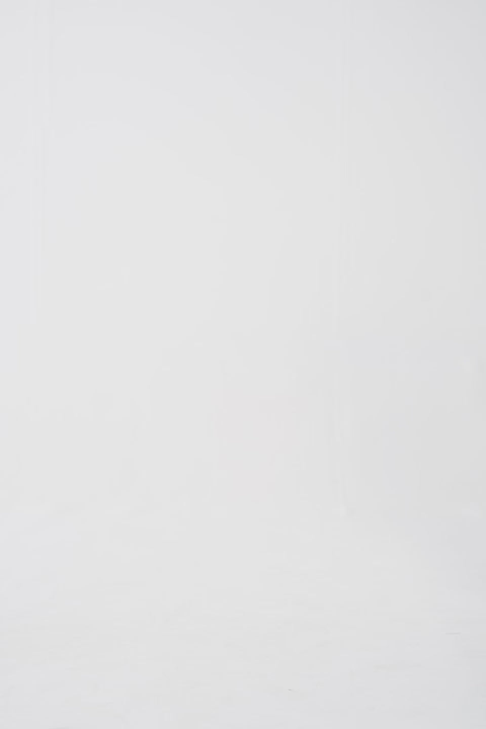 Back Printed Pullover - Cougar Clothing