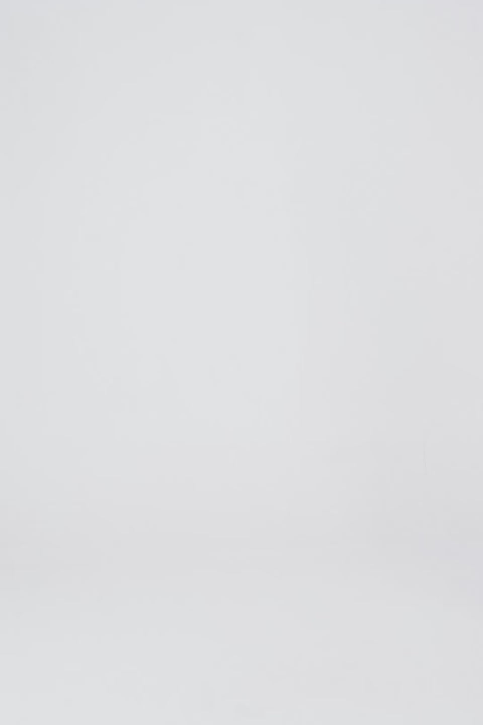 Raglan Ottoman Polo - Cougar Clothing
