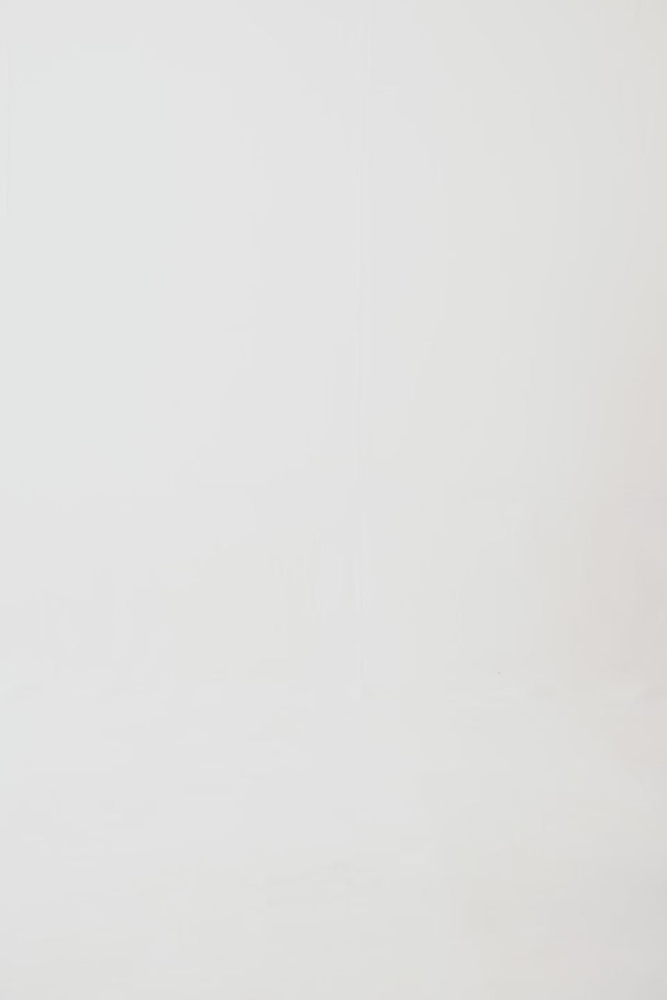 Hooded Belted Coat - Cougar Clothing