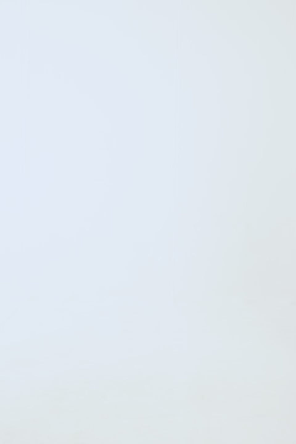 Faux Fur Gilet - Cougar Clothing