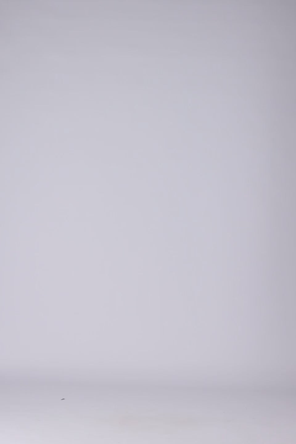 Denim Shorts - Cougar Clothing