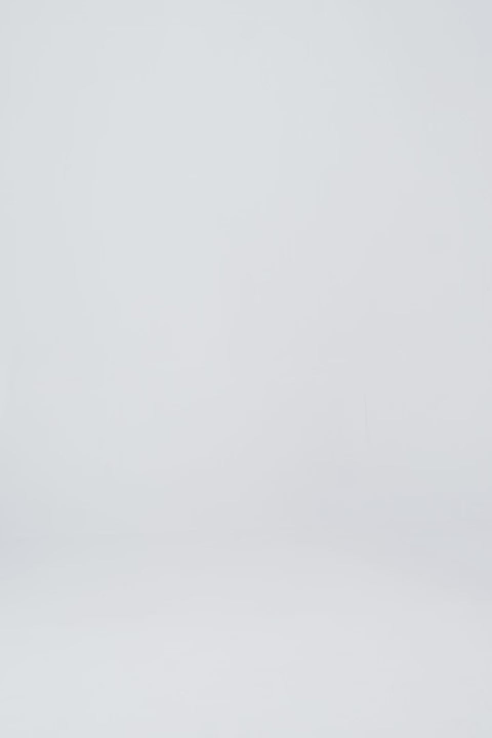 Organza Drapery Shirt - Cougar Clothing