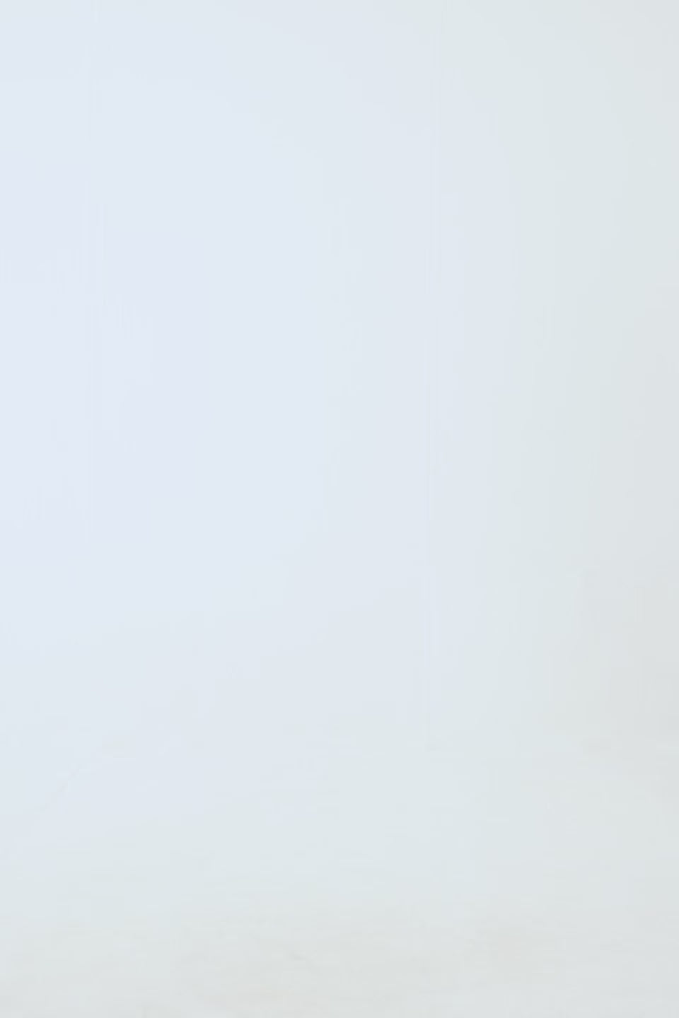 Striped Trimmed Sweatshirt - Cougar Clothing