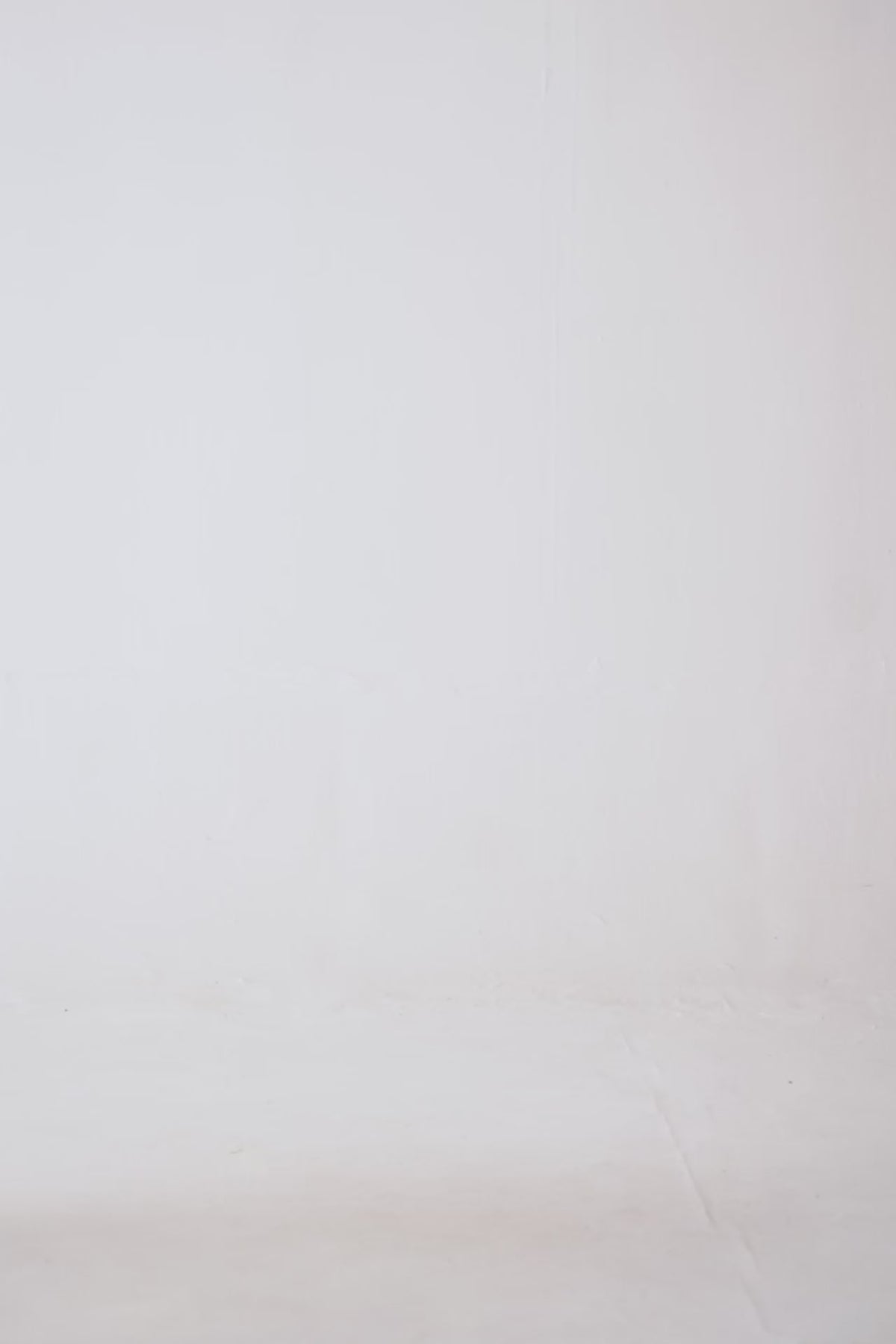 Basic Shorts - Cougar Clothing
